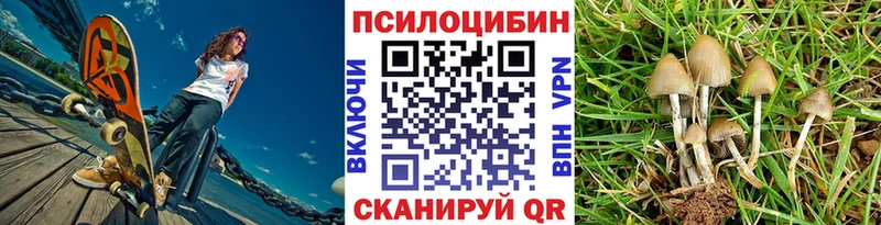 Галлюциногенные грибы ЛСД  Судак 